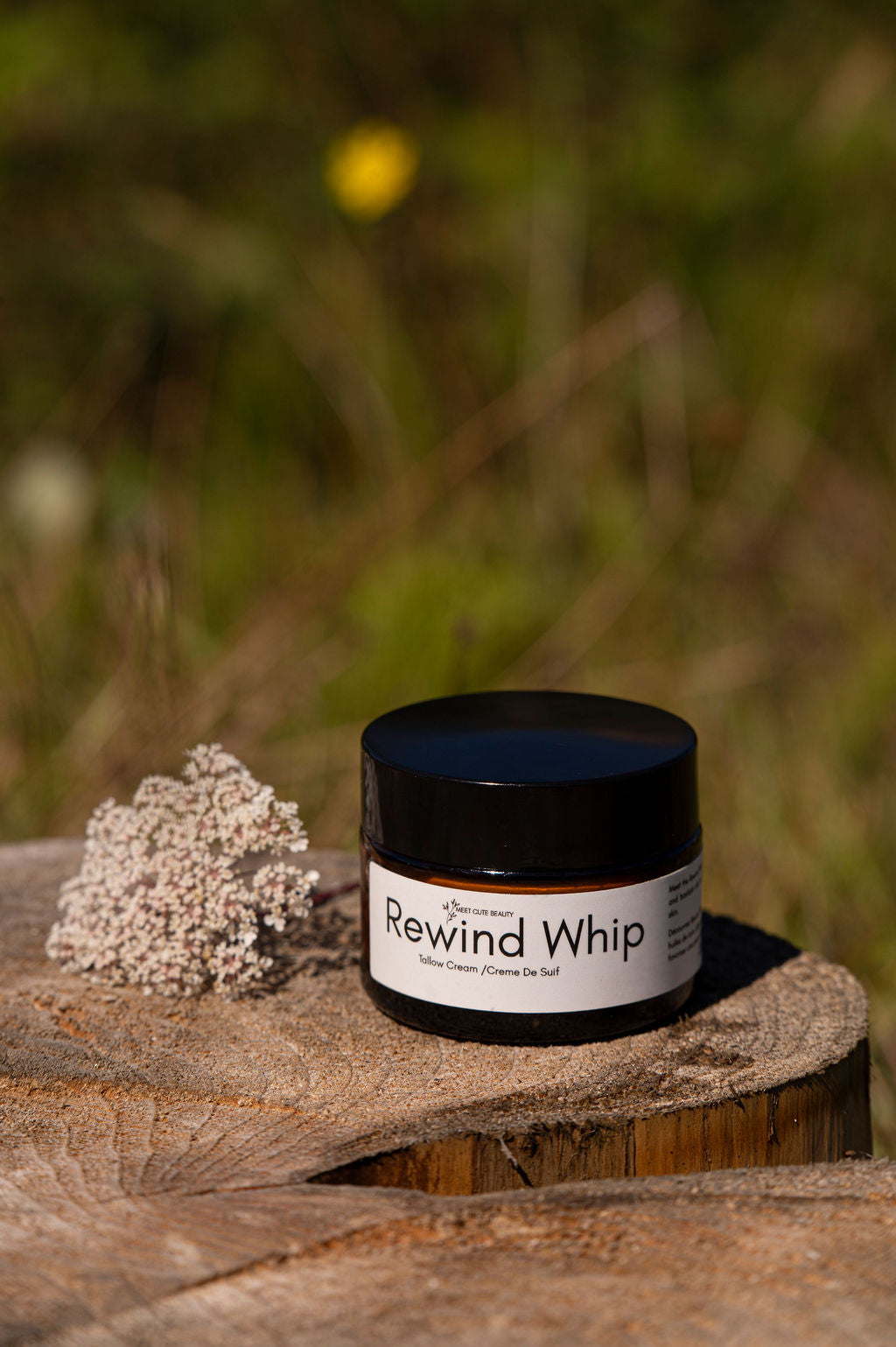 Rewind Whip